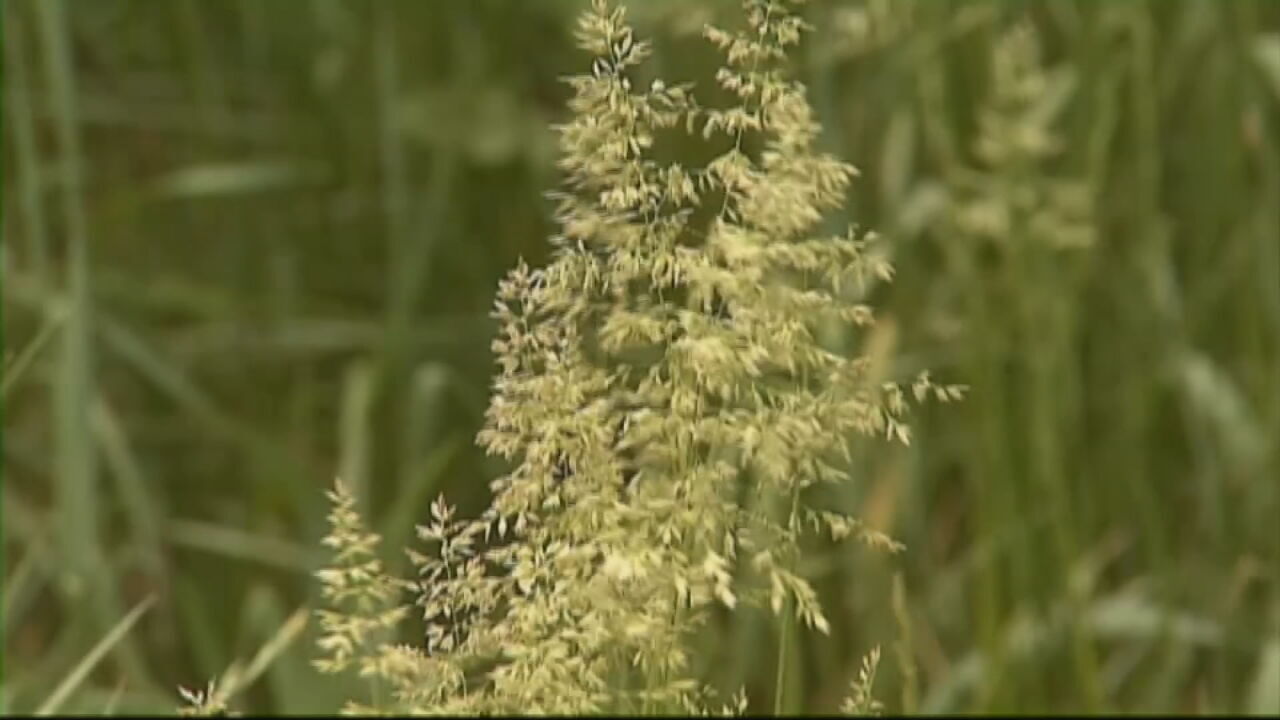 Farmers' Almanac predicts warmer, wetter conditions that can trigger allergies